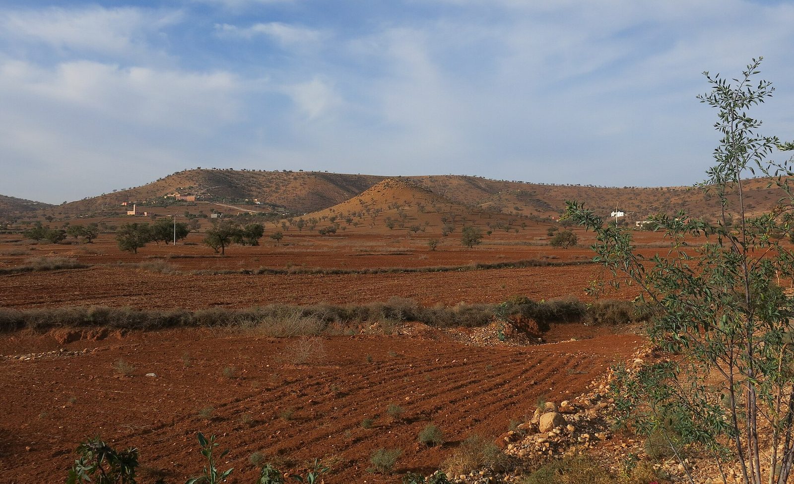 Ploughed fields east of Biougra, Souss-Massa